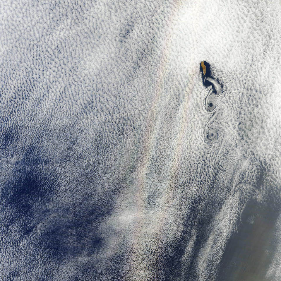 A layer of stratocumulus clouds over the Pacific Ocean serves as the backdrop for this rainbow-like phenomenon known as a glory. Glories form when water droplets within clouds scatter sunlight back toward a source of illumination (in this case, the Sun).  Although glories may look similar to rainbows, the way light is scattered to produce them is different. Rainbows are formed by refraction and reflection; glories are formed by backward diffraction. From the ground or from an airplane, glories appear as circular rings of color. In this image, however, the glory is stretched vertically because of how the imager scans the surface in swaths. Note, too, the swirling von Kármán vortices visible to the right of the glory. The alternating rows of vortices form as air masses run into an obstacle—the island of Guadalupe—and form a wake behind it.