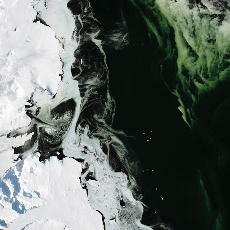 It may look like someone dyed the water, but the green hue visible off the coast of Antarctica is entirely natural. Granite Harbor, a cove near Antarctica’s Ross Sea, got its color from phytoplankton at the water’s surface.  In March 2017, Landsat 8 captured such an event in this image. Sea ice, winds, sunlight, nutrient availability, and predators all factor into whether plankton can grow in large enough quantities to color the slush-ice and make it visible from space.