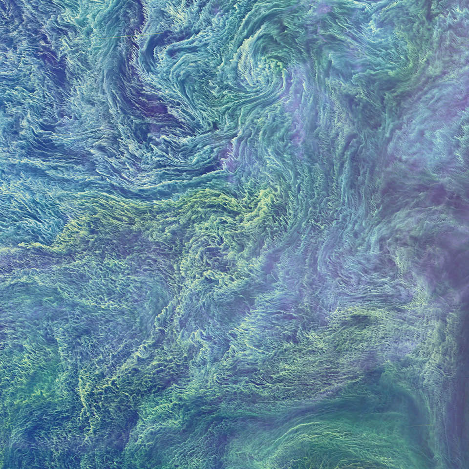 In August 2015, Landsat 8 captured this false-color view of a large bloom of cyanobacteria swirling in the Baltic Sea. Blooms flourish here during summertime, when there is ample sunlight and high levels of nutrients. Tracks of several ships show up as dark lines where they have cut through the bloom.  Agricultural and industrial runoff from Europe can contribute to excess nutrients in the Baltic Sea. 