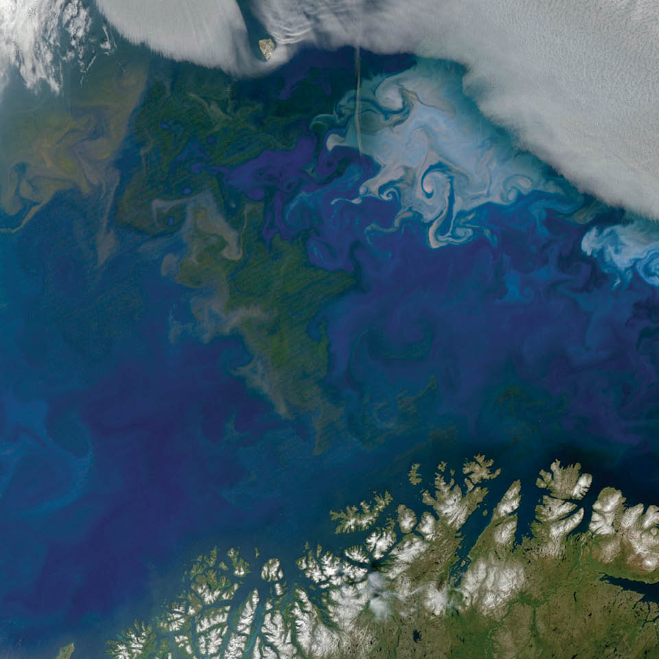 As the seasons pass on Earth, different species tend to dominate the landscape at different times. Such was the case in July 2014 in the surface waters of the Barents Sea, north of Norway and Russia. The Aqua satellite captured a transitional moment between one form of microscopic, plant-like organisms (phytoplankton) and another. Several currents merge in this area, and intersecting waters combine with stiff winds to promote mixing of waters and nutrients from the deep. Note the green swirls on the center and left, as well as the milky, blue-white swirls on the upper right. (The fluffy white area is cloud cover.) It is likely that the green plankton were diatoms and the white ones were coccolithophores.