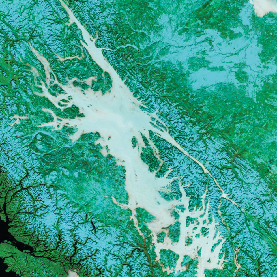 Fog is essentially a cloud lying on the ground. Like all clouds, it forms when the air reaches its dew point—the temperature at  which an air mass is cool enough for its water vapor to condense into liquid droplets. This false-color image shows valley fog, which is common in the Pacific Northwest of North America. On clear winter nights, the ground and overlying air cool off rapidly, especially at high elevations. Cold air is denser than warm air, and it sinks down into the valleys. The moist air in the valleys gets chilled to its dew point, and fog forms. If undisturbed by winds, such fog may persist for days. The Terra satellite captured this image of foggy valleys northeast of Vancouver in February 2010.