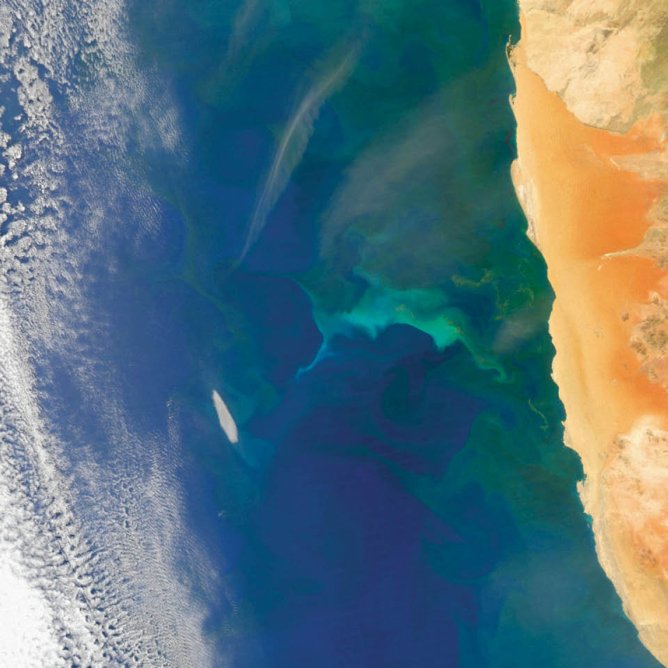 Off the coast of Namibia, the Benguela Current flows north and west from South Africa. It is enriched by iron and other nutrients from the Southern Ocean and from dust blowing off African coastal deserts. Easterly winds push surface waters offshore and promote upwelling near the coast, which brings up cold, nutrient-rich waters from the deeper ocean. These interactions can make the ocean come alive with color.