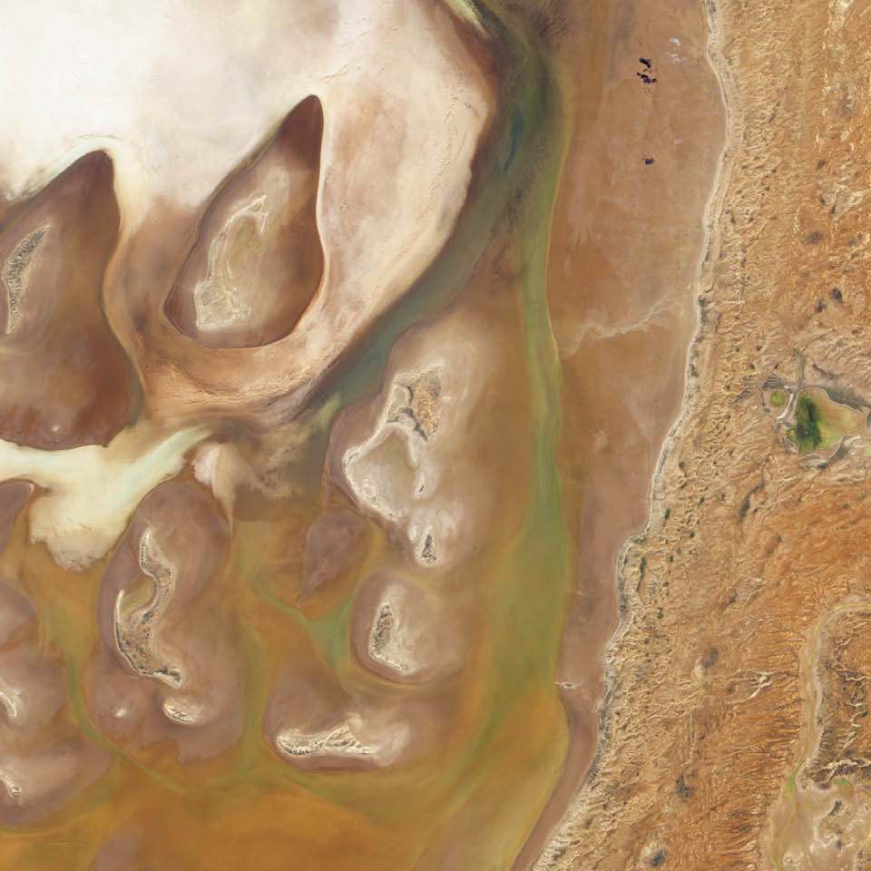 The interior of Australia is full of ephemeral lakes. These basins pass most of their time as salt pans, but occasional heavy rains can fill them with water.  The Earth Observing-1 satellite captured this image in April 2010 after water had flowed into Lake Frome, which stands at the southern end of an arc of salt pans. When it fills, the waters usually come from precipitation in the hills and other salt pans upstream. The land to the east has a slightly higher elevation and consists of a network of dry river channels. Inside the salt pan, the land surface is uneven. Areas shaped like sloppy teardrops rise above the surrounding plain. Water on the surface appears in shades of dull green. And throughout much of Lake Frome, water makes its presence known not through standing water but through mud or wet salts. Darker surfaces show where water has seeped through typically dry sediments.