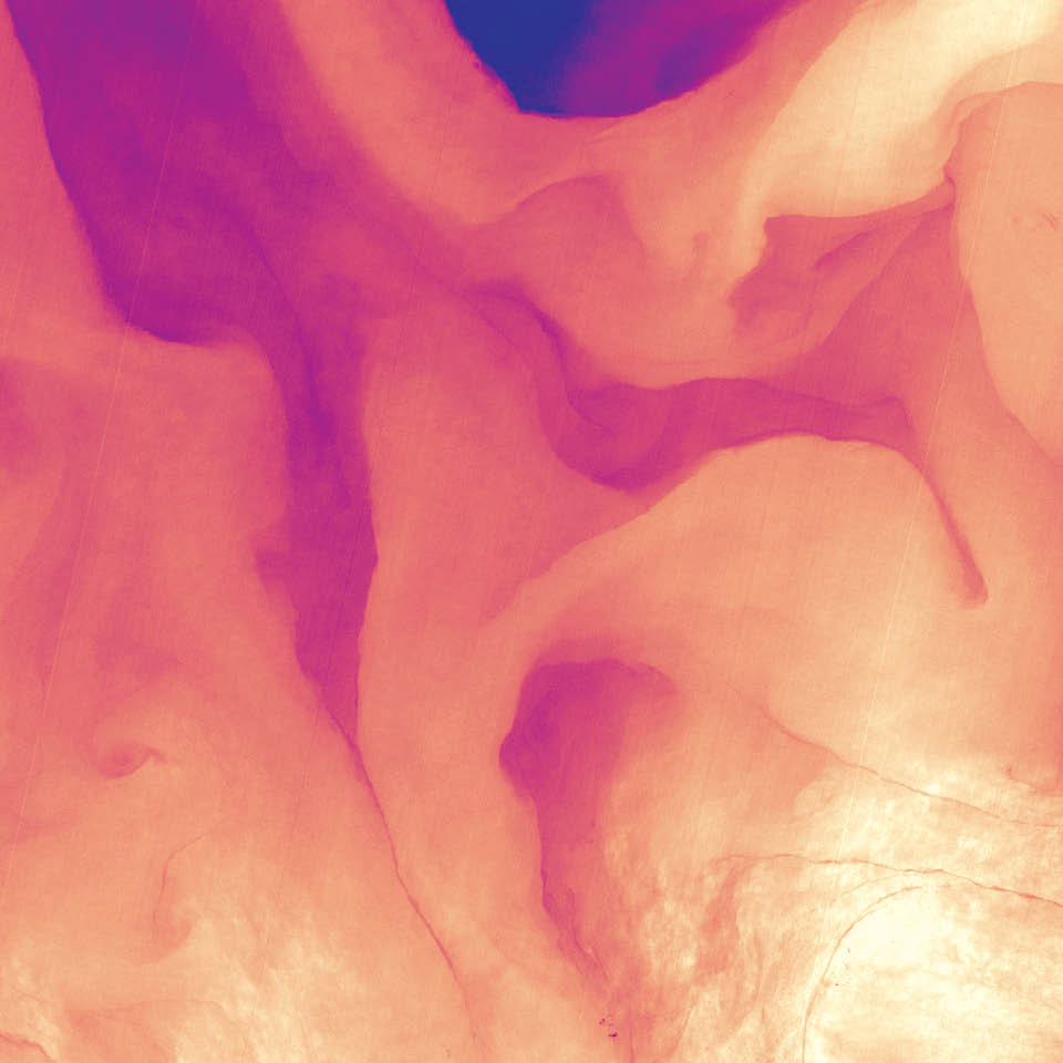 This image shows a small portion of the Gulf Stream off of South Carolina as it appeared in infrared data collected by the Landsat 8 satellite in April 2013. Colors represent the energy—heat—being emitted by the water, with cooler temperatures in purple and the warmest water being nearly white. Note how the Gulf Stream is not a uniform band but instead has finer streams and pockets of warmer and colder water. 