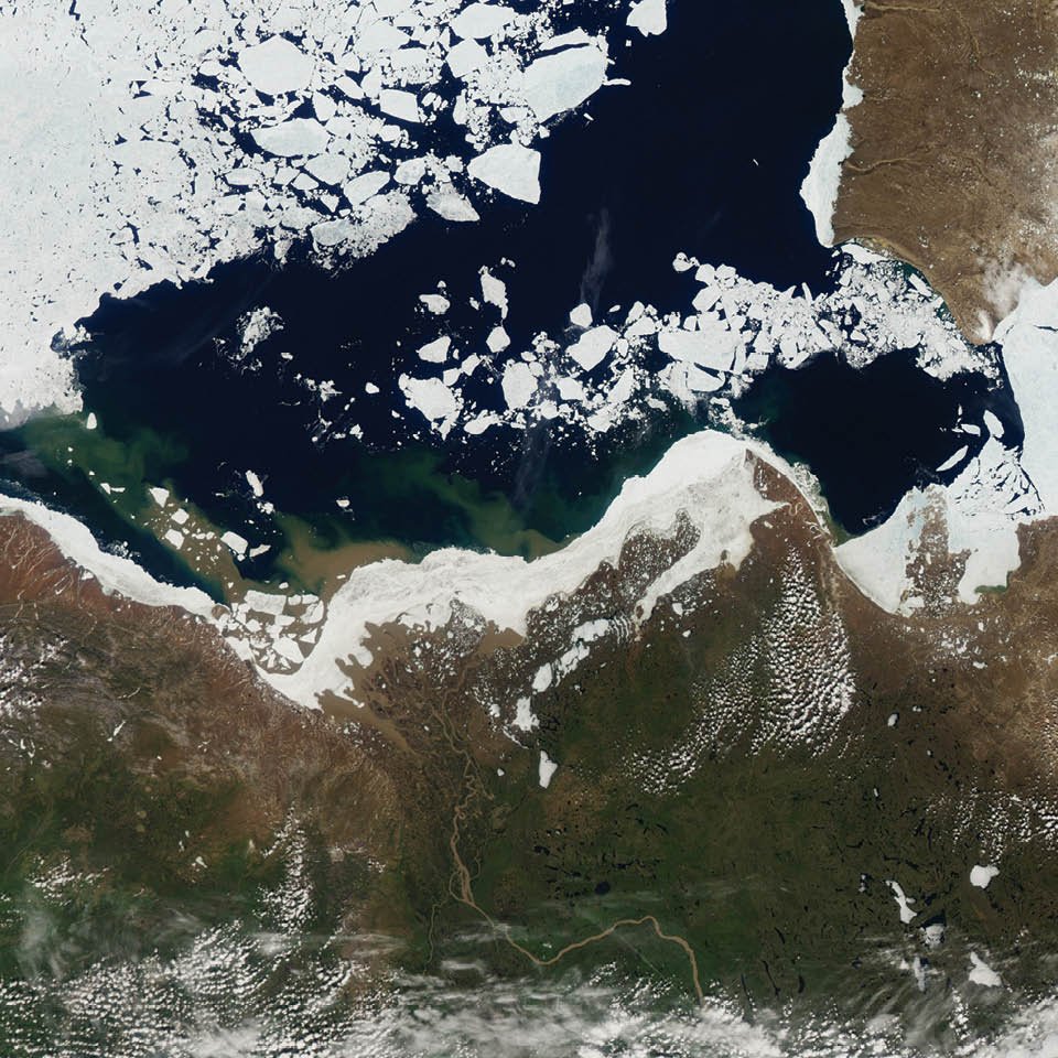 In the image, tan and brown water masses show up on both sides of the sea ice that crowds the shoreline of the river delta. A massive pulse of warm river water—colored by sediments and organic material flowing out from the Canadian interior—flows right under the ice. The pulse raised offshore water temperatures across hundreds of kilometers and seemed to contribute to the melting and dispersal of nearby sea ice.