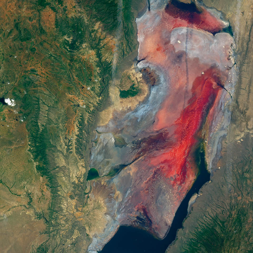 Lake Natron is mostly inhospitable to life, but it is gorgeous to the eye. The lake in Tanzania receives less than 500 millimeters  (20 inches) of rain in most years. Evaporation usually exceeds that amount, and the lake needs input from some local rivers to maintain a water supply in the dry season. This Landsat 8 image from March 2017 shows Lake Natron’s chromatic charisma. Volcanism helps make the unusual color. Nearby volcanoes produce molten mixtures of sodium carbonate and calcium carbonate salts that move through faults and well up in hot springs. This briny, alkaline environment is too harsh for most common types of life, but salt-loving microorganisms (haloarchaea) bloom in the shallow pools and impart pink and red colors to the water. 