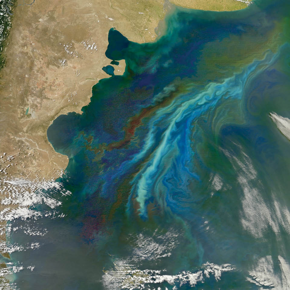 Off the coast of Argentina, two strong ocean currents converge and often stir up a colorful brew, as shown in this Aqua image from December 2010.  This milky green and blue bloom formed on the continental shelf off of Patagonia, where warmer, saltier waters from the subtropics meet colder, fresher waters flowing from the south. Where these currents collide, turbulent eddies and swirls form, pulling nutrients up from the deep ocean. The nearby Rio de la Plata also deposits nitrogen- and iron-laden sediment into the sea. Add in some midsummer sunlight, and you have a bountiful feast for microscopic, floating plants known as phytoplankton, which form the center of the ocean food web. 