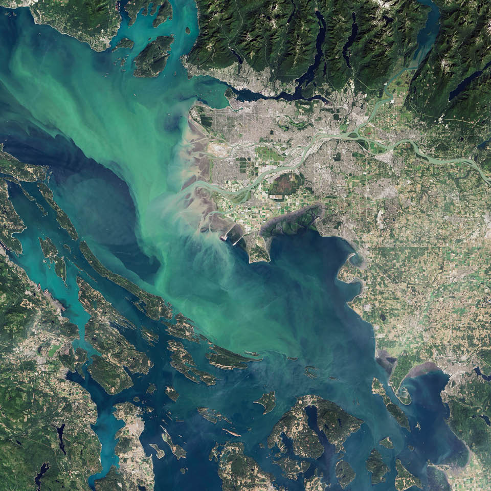 In August 2016, the waters off of British Columbia turned bright green. The Strait of Georgia and nearby inlets were teeming with coccolithophores—a harmless type of floating plant-like organisms called phytoplankton. Coccolithophores have chalky, scale-like shells made of calcium carbonate. The milky-white color of those shells can brighten and discolor otherwise blue waters when the plankton explode in such massive blooms. 