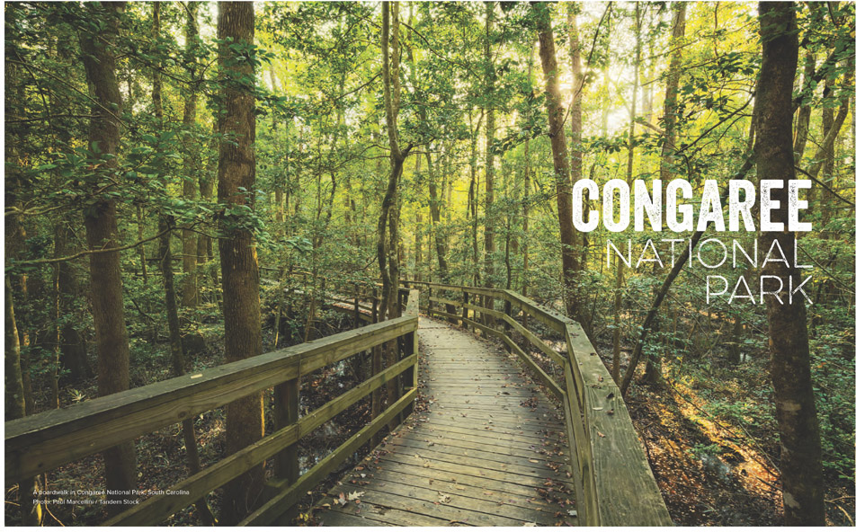 CONGAREE NATIONAL PARK