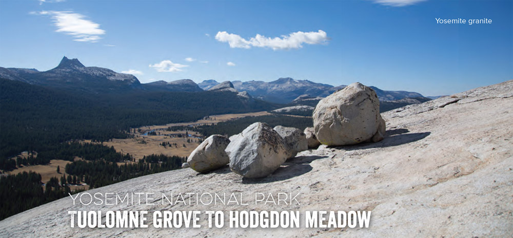 YOSEMITE NATIONAL PARK TUOLOMNE GROVE TO HODGDON MEADOW