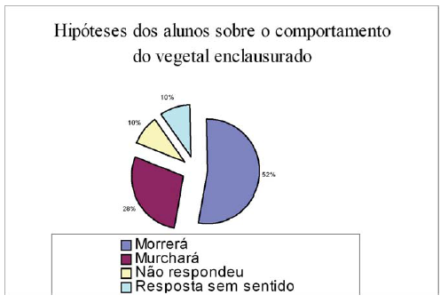 Figura 1: Agrupamento das hipóteses levantadas pelos alunos com relação ao comportamento do vegetal enclausurado. 