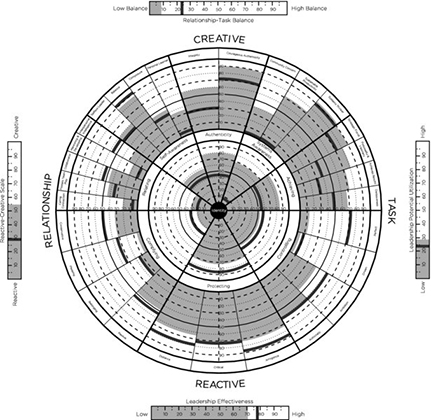 Diagram shows set of circles are drawn with markings for identity in center, creative on top, task on right, reactive on bottom, and relationship on left with four scales on all four corners.