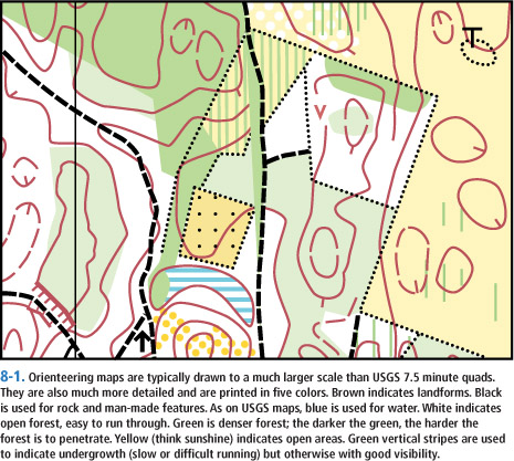 8-1. Orienteering maps are typically drawn to a much larger scale than USGS 7.5 minute quads. They are also much more detailed and are printed in five colors. Brown indicates landforms. Black is used for rock and man-made features. As on USGS maps, blue is used for water. White indicates open forest, easy to run through. Green is denser forest; the darker the green, the harder the forest is to penetrate. Yellow (think sunshine) indicates open areas. Green vertical stripes are used to indicate undergrowth (slow or difficult running) but otherwise with good visibility.