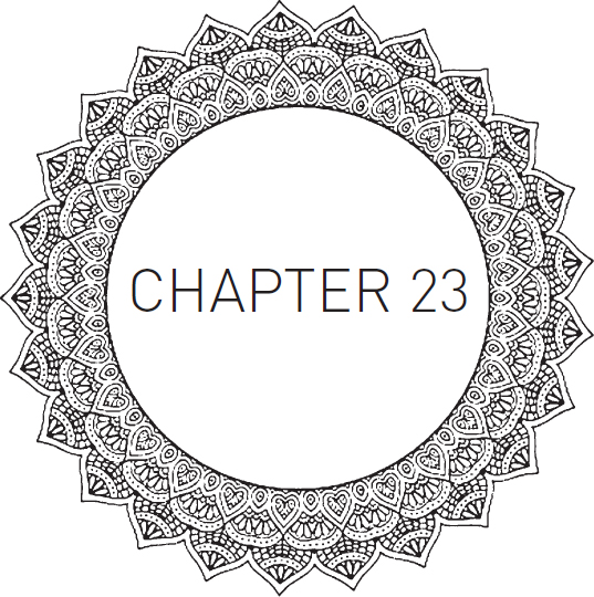 Chapter 23