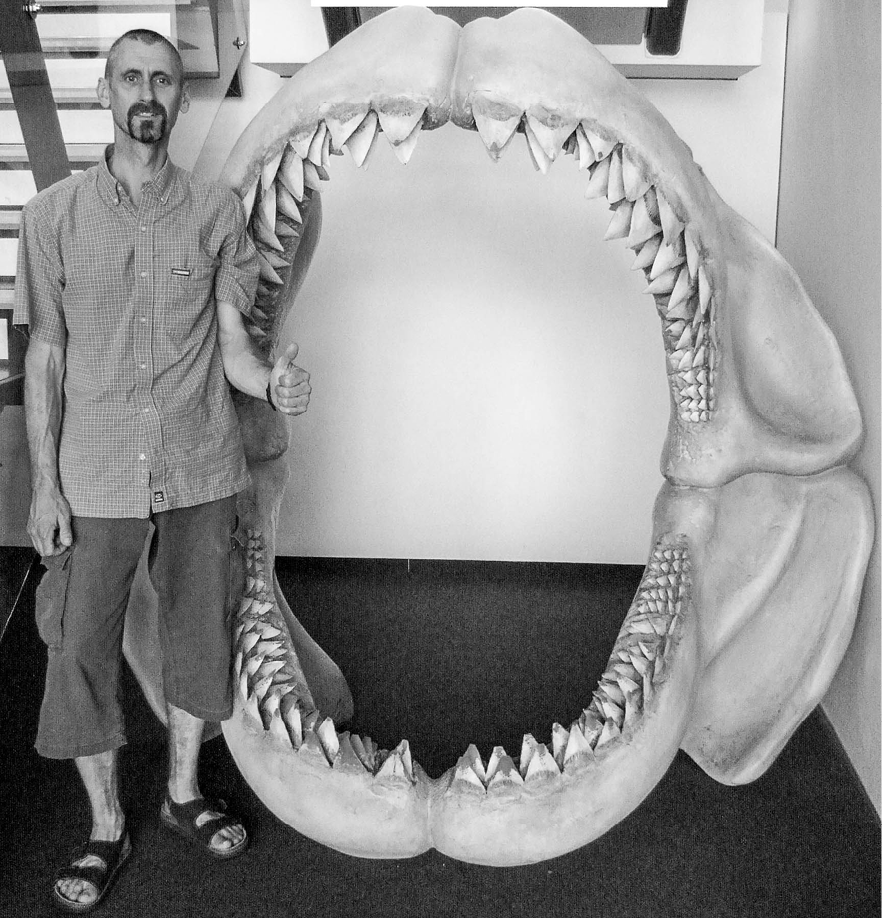 fig%2027-7--Megalodon_jaws.jpg