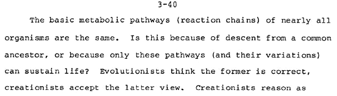 fig%206-1--Pandas-Creationist%20clip.jpg