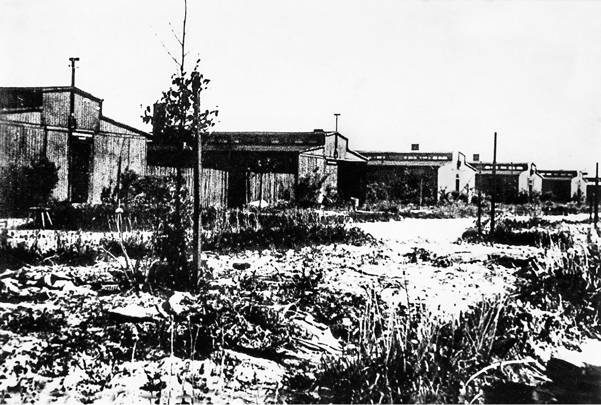 37_desolate_birkenau_1946_.tif