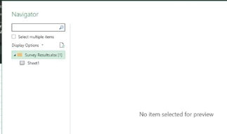 In the Navigator, select Survey Results.xlsx in order to import the entire workbook.