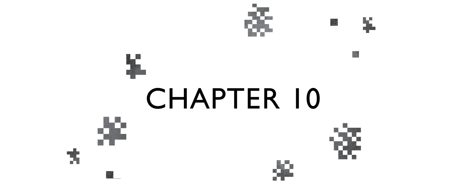 Chapter 10