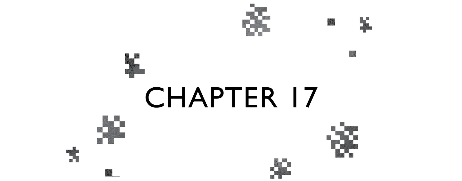 Chapter 17