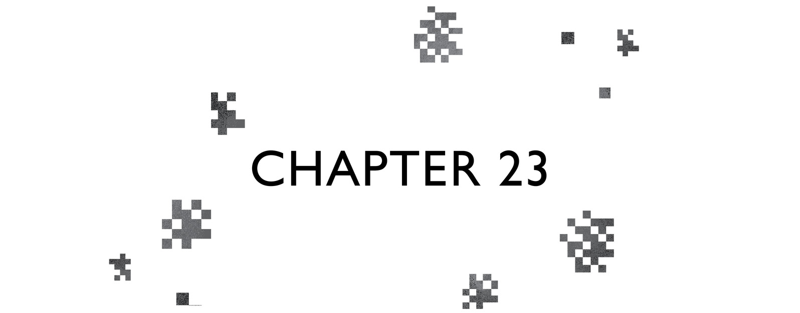 Chapter 23