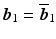 $$\boldsymbol{b}_{1}=\overline{\boldsymbol{b}}_{1}$$