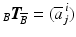 $${}_{B}\boldsymbol{T}_{\!\overline{B}}=(\overline{a}^{\,i}_{j})$$