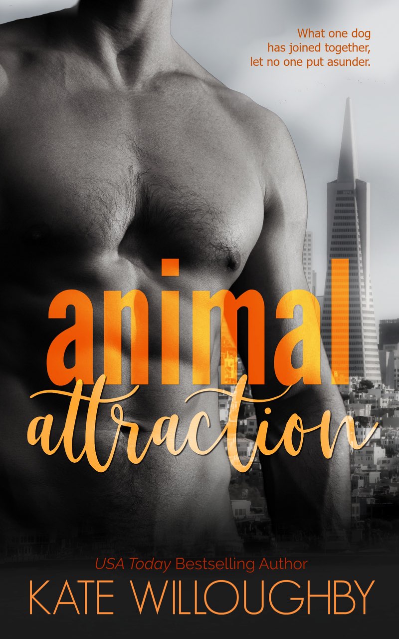 Animal Attraction