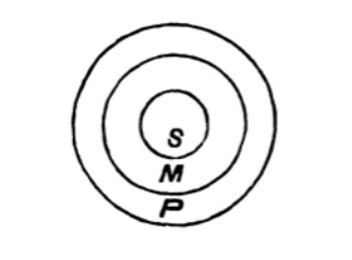 Euler diagram of previous syllogism