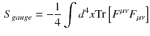 $$\begin{aligned} S_{gauge} = - \frac{1}{4}\int d^4 x \mathrm {Tr} \left[ F^{\mu \nu } F_{\mu \nu } \right] \end{aligned}$$