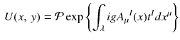 $$\begin{aligned} U(x,\,y) = \mathcal {P} \exp \left\{ \int _\lambda igA_\mu {}^I(x) t^I dx^\mu \right\} \end{aligned}$$