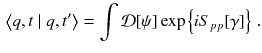 $$\begin{aligned} \left\langle q,t \mid q,t' \right\rangle = \int \mathcal {D}[\psi ] \exp \left\{ i S_{pp}[\gamma ] \right\} \, . \end{aligned}$$