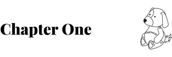 Chapter one