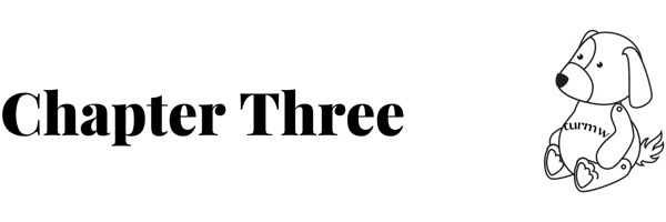 Chapter three