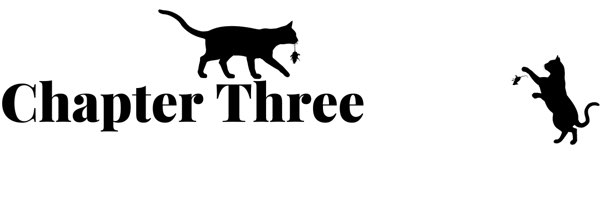 Chapter three