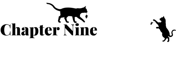 Chapter nine