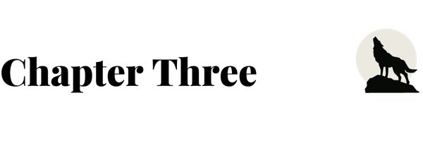 Chapter three