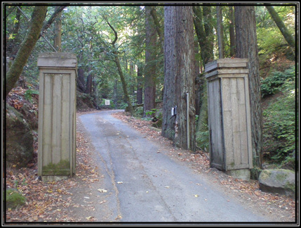 Picture of the entrance road.