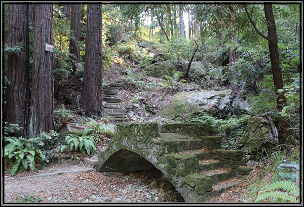 Picture of stone stairs on one of the walking trails.