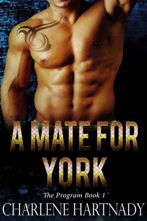 A Mate for York