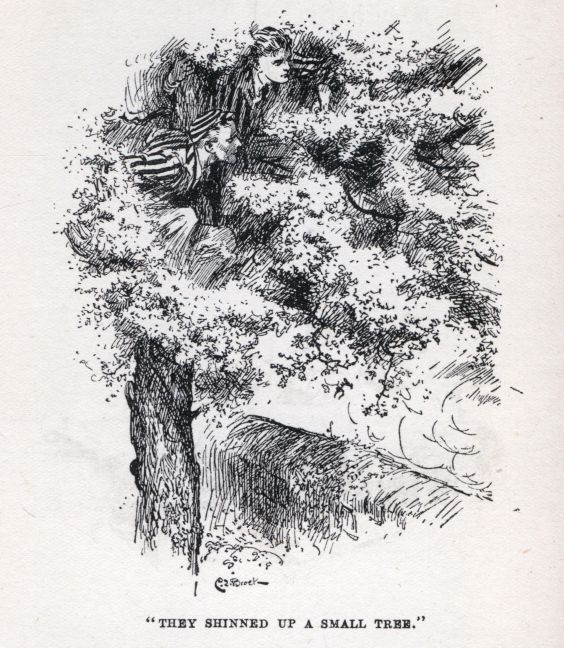 "THEY SHINNED UP A SMALL TREE."