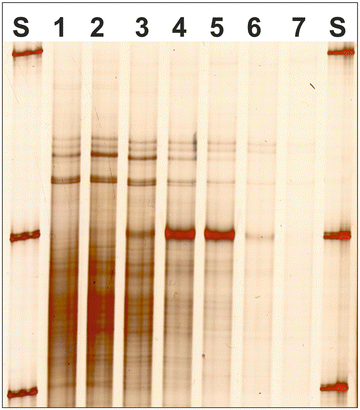 A327093_1_En_158_Fig1_HTML.gif