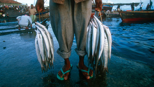 A fisherman delivers his daily catch to a waterfront fish market on the coast of Tanzania.