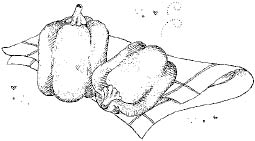 FFF_pg192.tif