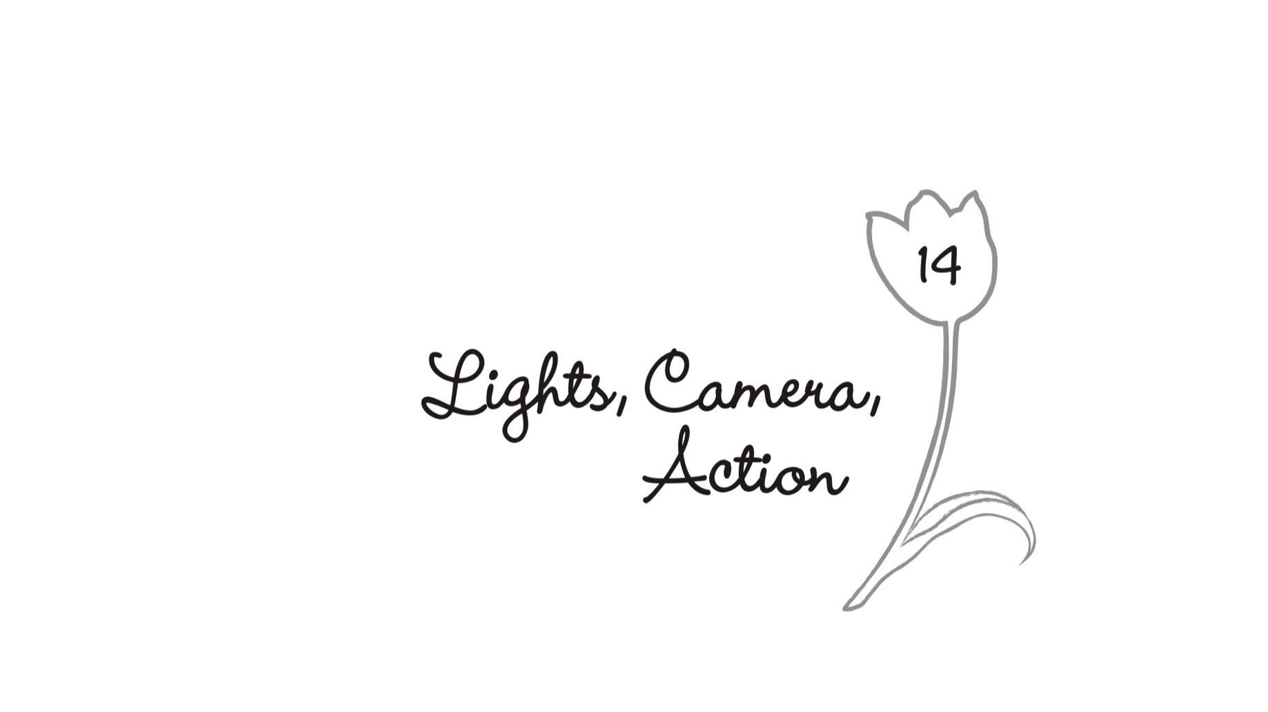 14. Lights, Camera, Action