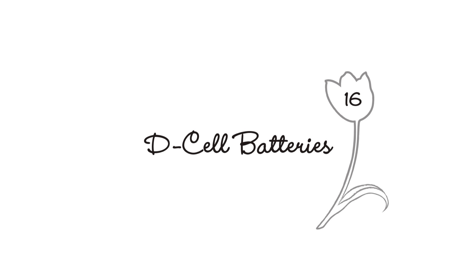 16. D-Cell Batteries