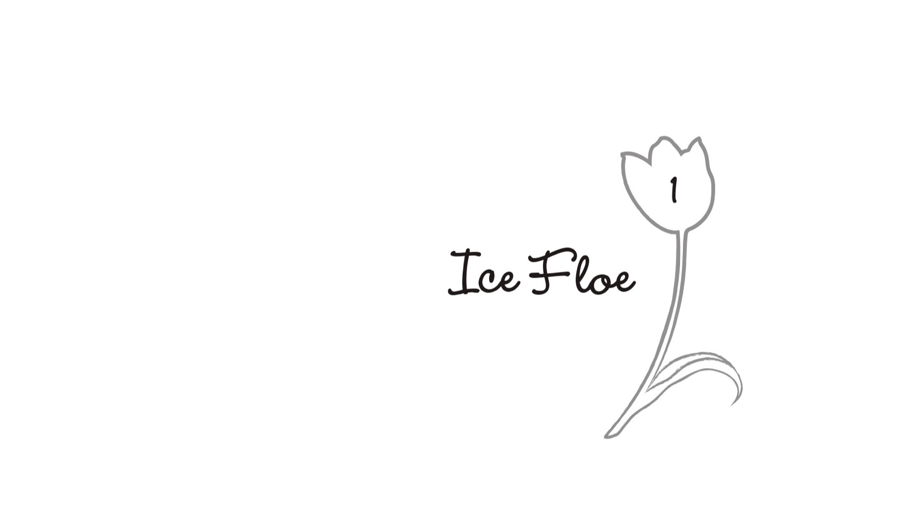 1. Ice Floe