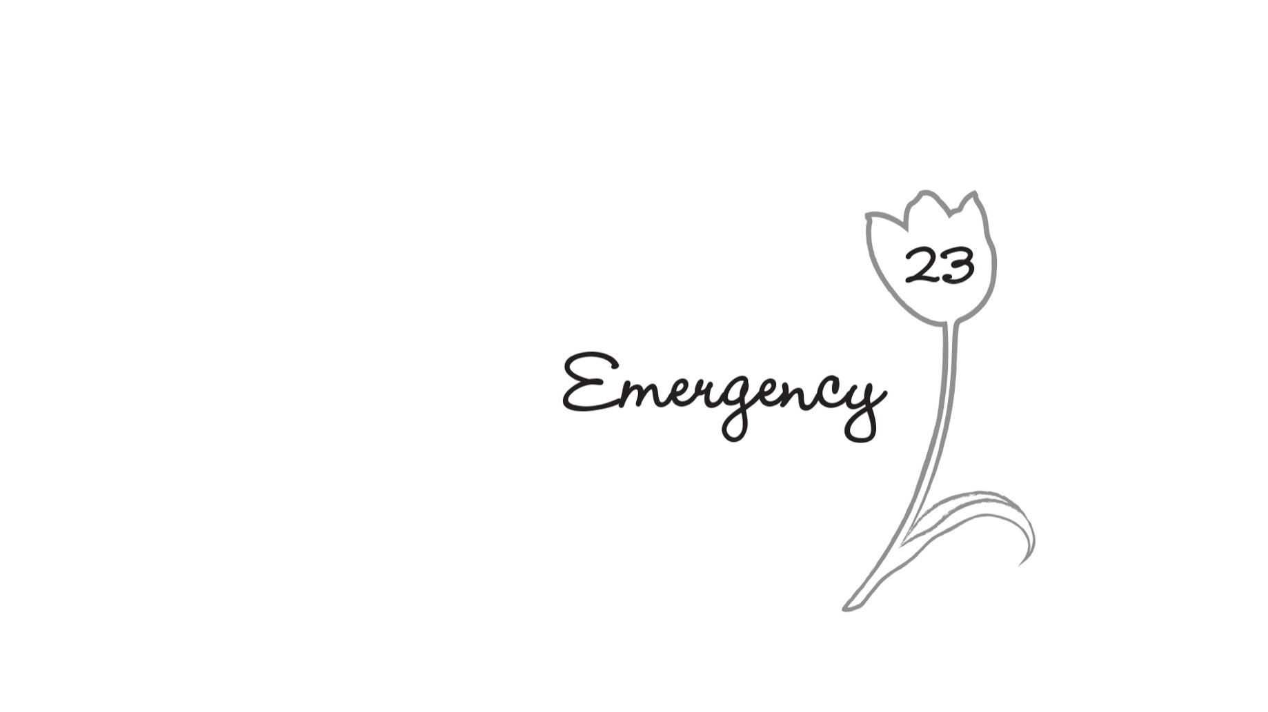 23. Emergency