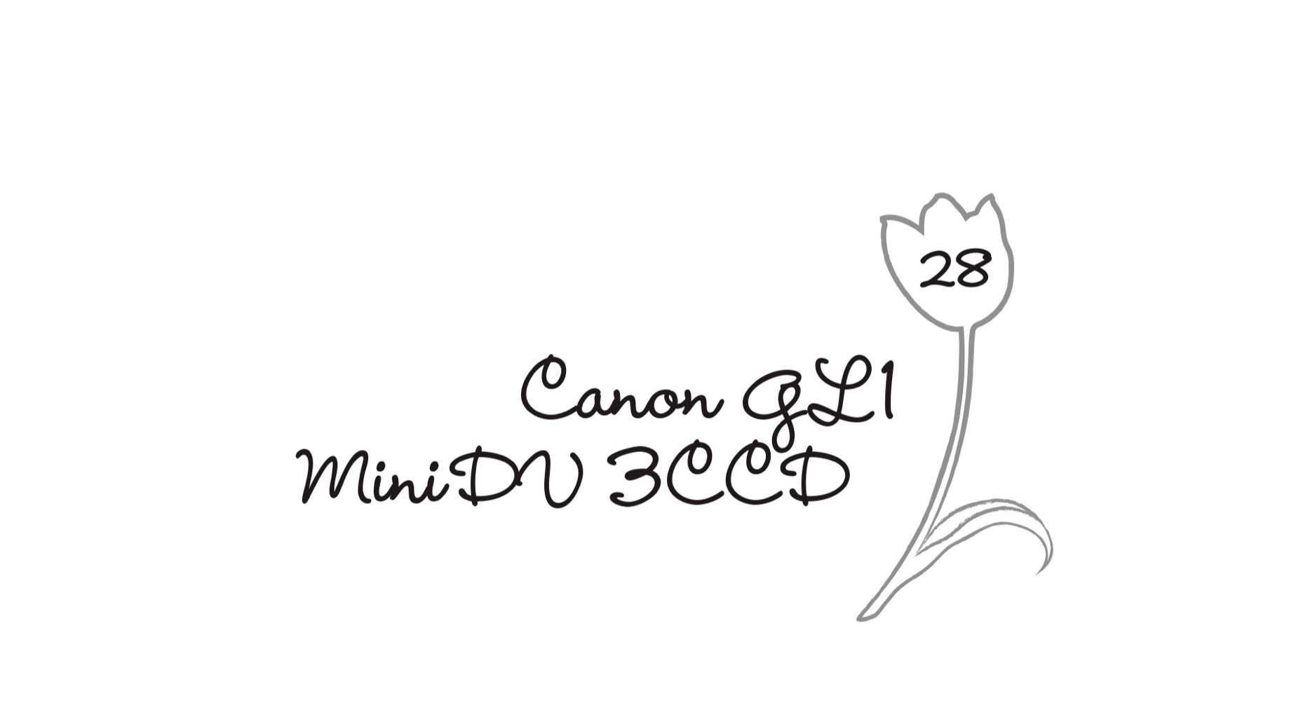 28. Canon GL1 MiniDV 3CCD