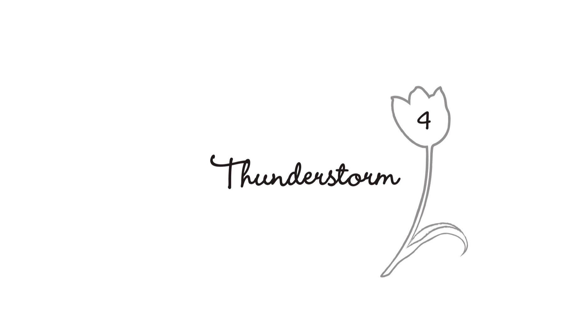 4. Thunderstorm